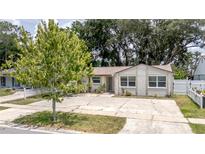 Charming single-story home with a well-maintained front yard and a mature shade tree at 3217 Saddlebrook Ave, Tampa, FL 33618