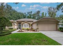 Charming single-story home with manicured lawn, tidy garden beds, and a welcoming two-car garage at 3821 Turkey Oak Dr, Valrico, FL 33596