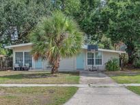 Charming single-story home with light blue doors and a mature palm tree in the front yard at 4425 W Bay Ave, Tampa, FL 33616
