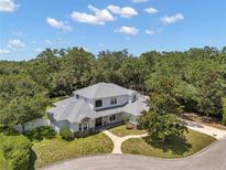 Stunning aerial view of home featuring lush landscaping, mature trees, and a gray roof at 2011 Water Wheel Ct, Dunedin, FL 34698