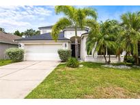 Charming two-story home with lush landscaping, palm trees, and a well-maintained lawn creating a welcoming curb appeal at 27353 Edenfield Dr, Wesley Chapel, FL 33544