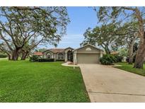 Charming single-story home with a well-manicured lawn and mature trees at 8060 Timberlake Ave, Spring Hill, FL 34606