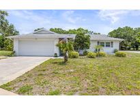 Charming single-story home with a well-manicured lawn and attached garage at 1410 Brighton Ct, Palm Harbor, FL 34684