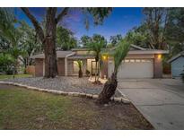 Charming single-story home featuring a well-maintained lawn and attached two-car garage at 1613 Long Pond Dr, Valrico, FL 33594
