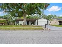 Charming single-story home featuring a well-maintained lawn, mature tree, and a two-car garage at 4706 Fox Hunt Dr, Tampa, FL 33624