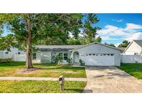 Charming single-story home with a well-manicured lawn, mature trees, and a two-car garage at 5808 Silver Moon Ave, Tampa, FL 33625