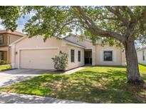 Charming single-story home featuring a well-maintained lawn, mature tree, and an attached two-car garage at 7157 Hamilton Park Blvd, Tampa, FL 33615