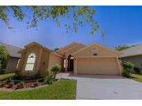 Charming single-story home featuring a 2-car garage and well-manicured landscaping on a sunny day at 9852 Laurel Ledge Dr, Riverview, FL 33569