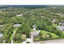 Expansive aerial view of a private residence nestled among lush greenery and mature trees at 1709 Main St, Safety Harbor, FL 34695