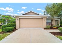 Charming home featuring an attached two-car garage, a well-manicured lawn, and beautiful landscaping at 3908 Douglas Hill Pl, Parrish, FL 34219