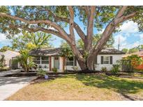 Charming single-story home showcasing a lush front yard with a mature shade tree at 4012 W Pearl Ave, Tampa, FL 33611