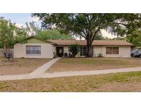 Charming single-story home with a well-maintained lawn and mature tree at 502 Dewolf Rd, Brandon, FL 33511