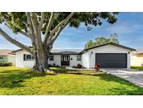 Charming single-story home with a well-manicured lawn and mature tree in the front yard at 6920 13Th N Ave, St Petersburg, FL 33710