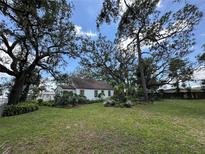 Quaint home with a well-manicured lawn and mature trees providing ample shade, nestled beneath a partly cloudy sky at 8502 N Branch Ave, Tampa, FL 33604