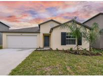 Charming single-story home with a well-maintained lawn and a two-car garage at 9828 Branching Ship Trace, Wesley Chapel, FL 33545