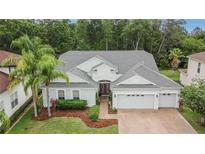 Beautiful home featuring lush landscaping, a three-car garage, and a well-maintained roof at 10515 Canary Isle Dr, Tampa, FL 33647
