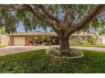 Charming single-story home featuring a spacious driveway and mature landscaping with large shade tree at 6635 9Th N Ave, St Petersburg, FL 33710