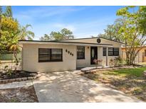 Charming single-story home with a well-maintained lawn and a welcoming front entrance at 8009 Somerset Ln, Tampa, FL 33615