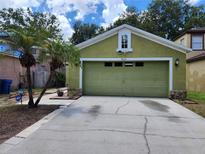 Green house with garage and driveway plus beautiful landscaping at 8313 Arabian Dunes Pl, Riverview, FL 33578