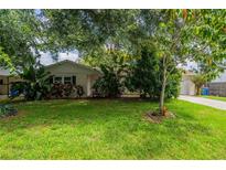 Charming single-story home with a lush green lawn and mature trees creating a serene and inviting atmosphere at 117 Connie Ave, Tampa, FL 33613