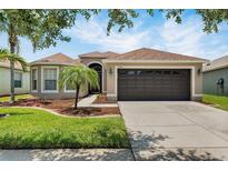 Charming single-story home featuring a well-manicured lawn and a two-car garage at 13910 Chalk Hill Pl, Riverview, FL 33579