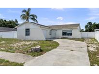 View of a charming single-story home with a palm tree and driveway at 1009 Sagamore Dr, Seffner, FL 33584