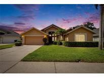 Charming single-Gathering home showcasing lush landscaping and a two-car garage, set against a colorful twilight sky at 5303 Cottonwood Tree Cir, Valrico, FL 33596