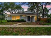 Charming single-story home with neutral exterior, mature trees, and inviting front entrance at 14732 Morning Dr, Lutz, FL 33559