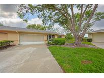 Charming single-story home with a two-car garage and a beautifully landscaped front yard at 1508 Ingram Dr # 20, Sun City Center, FL 33573
