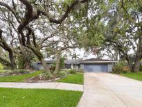 Charming single-story home featuring a well-maintained lawn, mature trees, and a two-car garage at 3005 Wilton Ln, Valrico, FL 33596