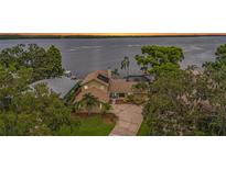 Waterfront home with palm trees, mature landscaping, and a private dock offers stunning views of the lake at 115 Lake Shore E Dr, Palm Harbor, FL 34684