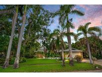 Charming single-story home featuring tropical landscaping and a well-manicured lawn under a picturesque sky at 1151 Lancer Ln, Tarpon Springs, FL 34689