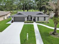 Beautiful single-story home featuring a gray roof, a two-car garage and pristine landscaping with a mature palm tree at 12807 Starling Dr, Odessa, FL 33556
