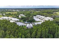 Aerial view of a community nestled amongst mature trees, ponds, and green spaces at 1827 Hammocks Ave # 1303, Lutz, FL 33549
