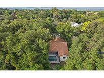 A beautiful aerial shot showing a home surrounded by dense trees and lush vegetation at 2990 Longbrooke Way, Clearwater, FL 33760