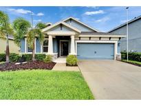 Charming single-Gathering home with well-manicured lawn and tropical landscaping at 6127 Colmar Pl, Apollo Beach, FL 33572