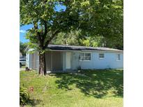 Charming single-story home with a large tree providing shade in the front yard at 7702 New York Dr, Tampa, FL 33619
