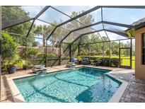 A screened-in pool area offers a relaxing retreat with water features and comfortable seating at 11551 Callisia Dr, Odessa, FL 33556