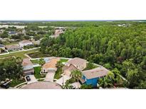 Spacious homes with lush landscaping, nestled in a vibrant community near a dense forest preserve at 3305 Hoylake Ct, Land O Lakes, FL 34638