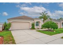 Charming single-story home featuring a two-car garage and manicured landscaping in a suburban neighborhood at 241 Royal Palm Way, Spring Hill, FL 34608