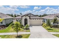 Charming one-story home with manicured lawn and inviting curb appeal at 6227 Golden Nettle Dr, Apollo Beach, FL 33572
