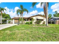 Charming single-story home with a well-manicured lawn and lush tropical landscaping at 10407 Oleander Dr, Port Richey, FL 34668