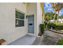 Inviting condo front door with a tranquil color, complemented by a small garden and walkway at 4506 La Capri Ct, Tampa, FL 33611