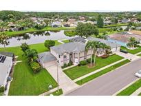 Aerial view of a lakeside home with a screened-in pool, lush lawn, and palm trees at 18219 Bittern Ave, Lutz, FL 33558