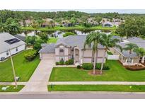 Two-story home with well-manicured lawn, palm trees, and a view of the lake at 18219 Bittern Ave, Lutz, FL 33558