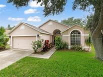 Charming single-story home with a well-manicured lawn, mature trees, and an attached two-car garage at 9008 Egret Cove Cir, Riverview, FL 33578