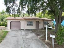 Charming single-story home with a driveway, attached garage, and a mature shade tree in the front yard at 9927 Woodridge Ct, Port Richey, FL 34668
