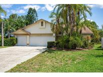 Charming single-story home with lush tropical landscaping and a two-car garage at 11638 Branch Mooring Dr, Tampa, FL 33635