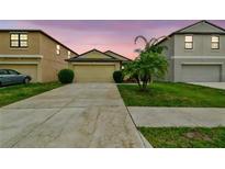 Charming single-Gathering home with a well-maintained lawn and a two-car garage at 14206 Covert Green Pl, Riverview, FL 33579