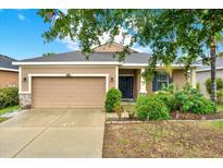 Charming single-story home with a well-manicured lawn and a two-car garage, perfect for suburban living at 1737 Bonita Bluff Ct, Ruskin, FL 33570